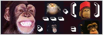Monkey hypothesis